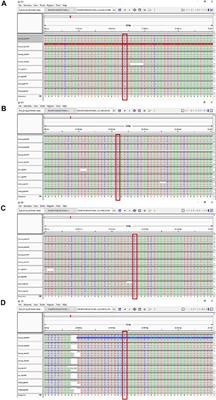 Analysis of the Plastid Genome Sequence During Maize Seedling Development